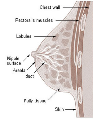 The symptoms of GERD occur as heartburn after eating a large meal, bending over or lying down. 