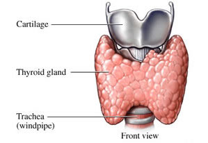 The symptoms of GERD occur as heartburn after eating a large meal, bending over or lying down. 